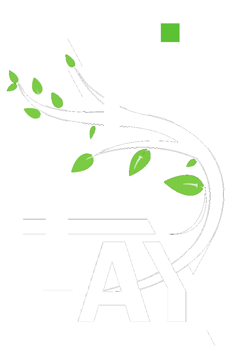 FAY